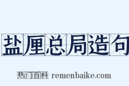 盐厘总局造句是什么意思的图片